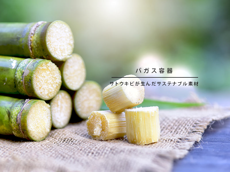 バガス容器とは？サトウキビが生んだサステナブル素材 🌱