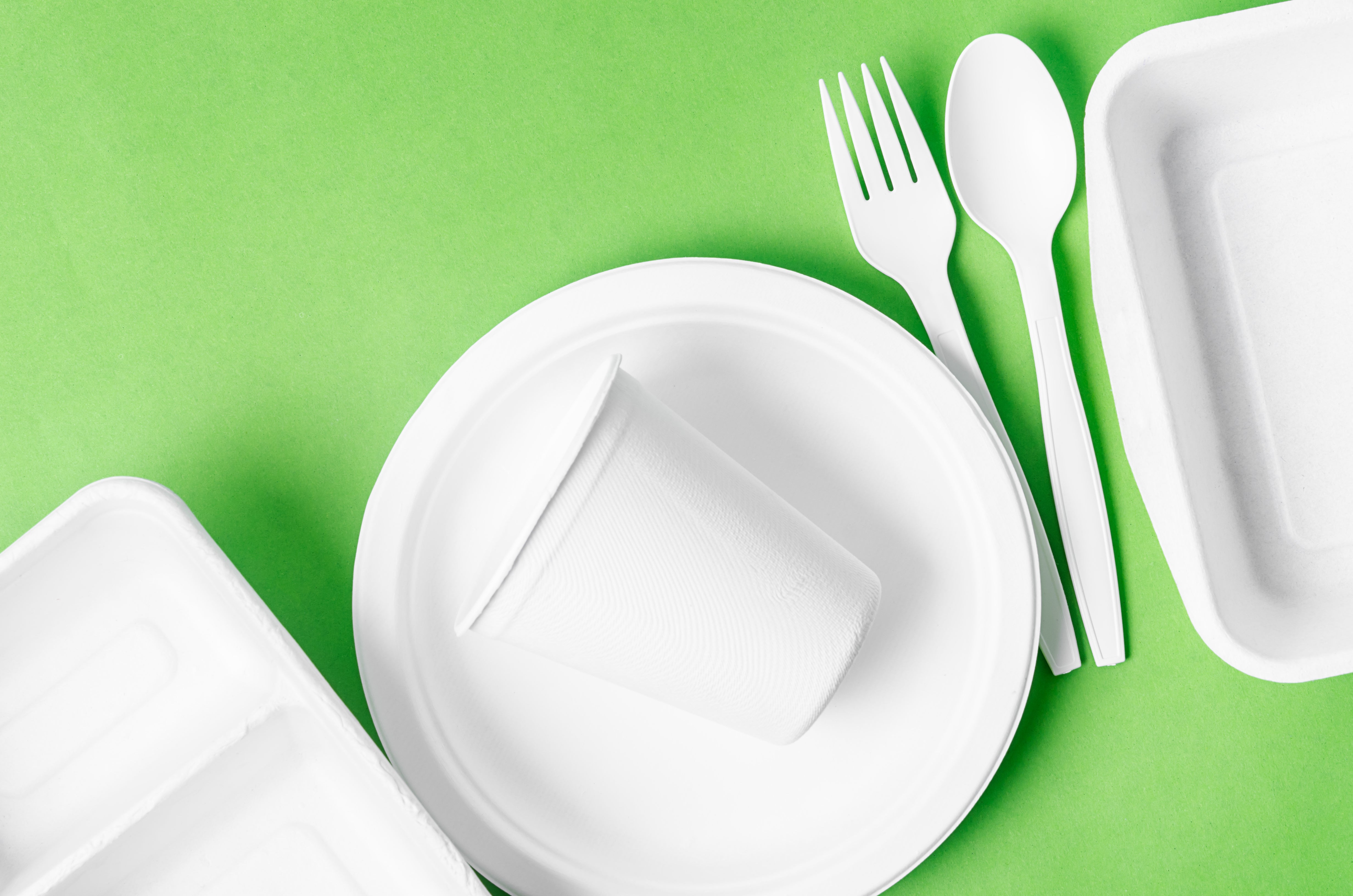 フクロウの耐熱強化プラスチックールド カラフトフクロウ｜くるるの野望